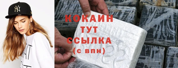 стаф Белокуриха