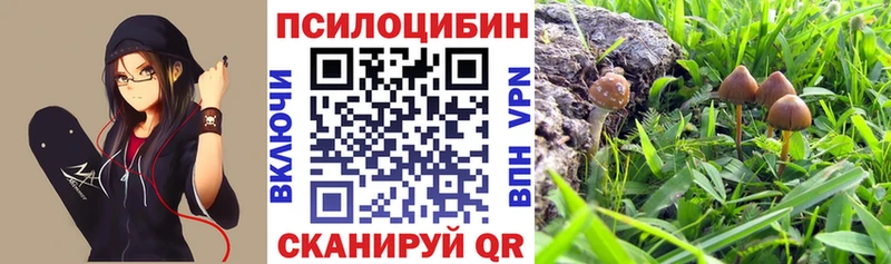 Галлюциногенные грибы Magic Shrooms  где можно купить наркотик  Корсаков 